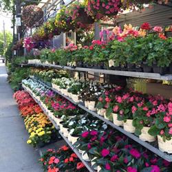 Davenport Garden Centre in Toronto, ON (Midtown Toronto) - Opening Hours