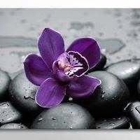 In Touch Massage Centre, Lloydminster, AB opening hours