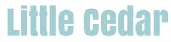 Little Cedar Montessori Pre School in Vancouver, BC (Kensington-Cedar Cottage) - Opening Hours