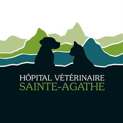 Hôpital Vétérinaire Ste-Agathe, Sainte-Agathe-des-Monts, QC opening hours
