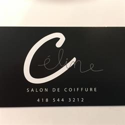 Salon de Coiffure Céline, La Baie, QC opening hours