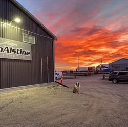 Van Alstine Automotive, Dundalk, ON opening hours