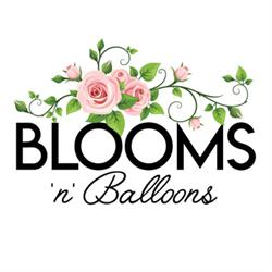 Blooms 'n' Balloons, Lorette, MB opening hours