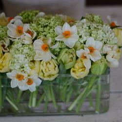 Quince Fine Florals in Vancouver, BC (Arbutus Ridge) - Opening Hours