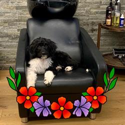 Salon En Tete Enr, Saint-Sauveur, QC opening hours
