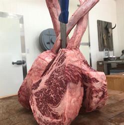 Abattoir J. Lavallee Inc., Havelock, QC opening hours