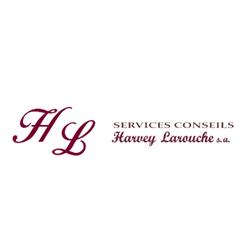 Services Conseils Harvey Larouche S a, Saint-Bruno-Lac-Saint-Jean, QC opening hours