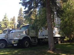Tall Pine Drilling Ltd, Bentley, AB opening hours