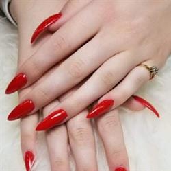 Kayla S Classic Nails, Calgary, AB opening hours