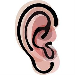Bovaird Hearing Clinic Inc, Brampton, ON opening hours
