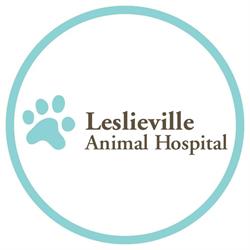 Leslieville Animal Hospital in Toronto, ON (Leslieville) - Opening Hours