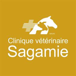 Clinique Veterinaire Sagamie, Alma, QC opening hours