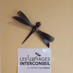 Interconseil Inc, Saint-Édouard-de-Lotbiniere, QC opening hours