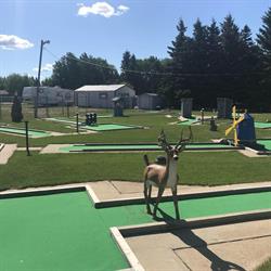 Gobbles Putt For Par, Shell Lake, SK opening hours