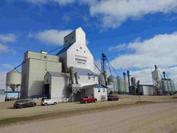 Bornhorst Seeds Ltd Sask Wheat, St. Gregor, SK opening hours