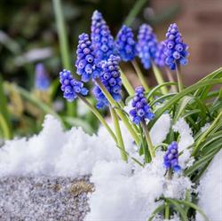 Thexton S Greenhouses, Annapolis Royal, NS opening hours