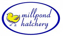 Mill Pond Hatchery, Grafton, ON opening hours