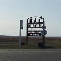 Village of Hodgeville, opening hours