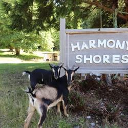 Harmony Shores Campground, Sointula, BC opening hours