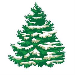 Cedar Hill Christmas Tree Farm, Pakenham, ON opening hours