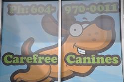 Carefree Canines Doggie Daycare, Burnaby, BC opening hours