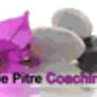 L'école Isabelle Pitre Coaching Inc, Saint-Bernard, QC opening hours
