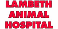 Lambeth Animal Hospital, opening hours