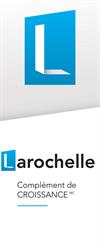 Larochelle Groupe Conseil Inc. in Montréal, QC (Downtown) - Opening Hours