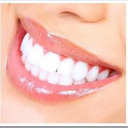 Hudson Bay Dental Clinic, opening hours