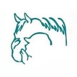 Little Bits Therapeutic Riding, Edmonton, AB opening hours