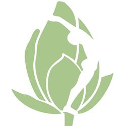 Bodhi Tree Yoga Centre in Calgary, AB (Hillhurst) - Opening Hours