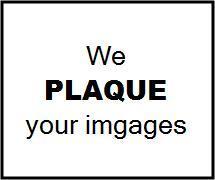 Plaquemountingmississauga Dot Com in Mississauga, ON (Port Credit) - Opening Hours