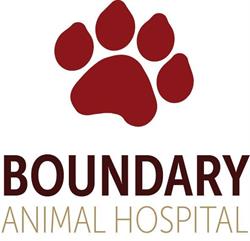 Boundary Animal Hospital in Burnaby, opening hours