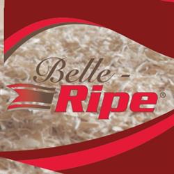 Belle-Ripe inc., Princeville, QC opening hours