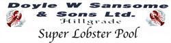 Doyle Sansome and Sons, Hillgrade, NL opening hours
