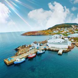 Green Seafoods Ltd, Winterton, NL opening hours