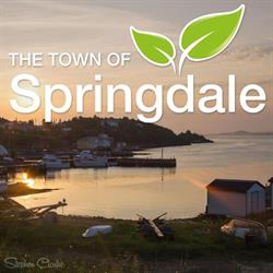 Town of Springdale, opening hours