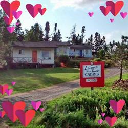Leisure Time Cabins, Port Blandford, NL opening hours