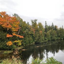 Sauble Falls Bed and Breakfast, Wiarton, ON opening hours