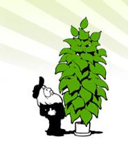 Overgrown Hydroponics in Barrie, opening hours