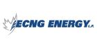 ECNG Energy LP, Burlington, ON opening hours