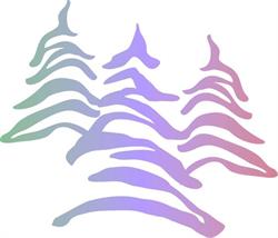 Friends of Riding Mountain National Park, Wasagaming, MB opening hours