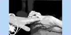 Wedding's with Jay Brown, Guelph, ON opening hours
