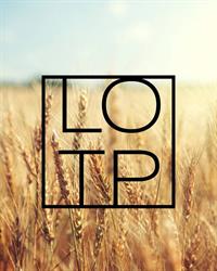 Light Of The Prairies, Saskatoon, SK opening hours