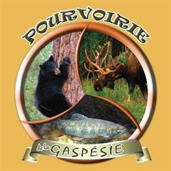 Pourvoirie de la Gaspésie 2000 in Grosses-Roches, opening hours