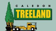 Caledon Treeland, opening hours