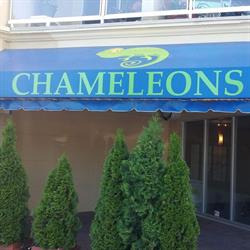 Chameleons in Parksville, opening hours