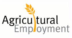 Agricultural Employment Alberta Ltd in Picture Butte, opening hours