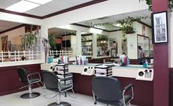 Trandee Hair Studio in Orleans, opening hours