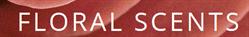 Floral Scents in Daysland, opening hours